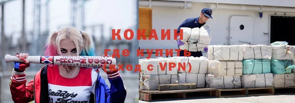 крисы Абаза