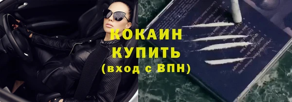 крисы Абаза