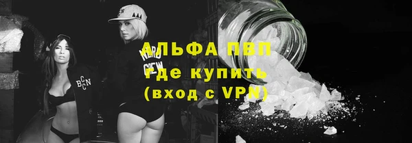 крисы Абаза