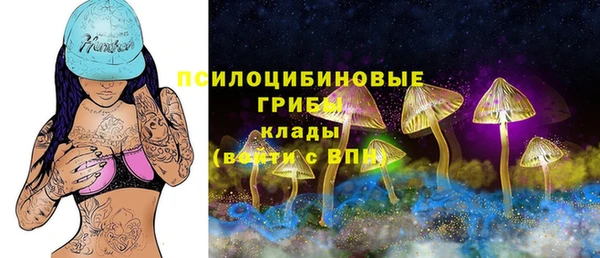 крисы Абаза
