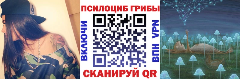 KRAKEN зеркало  Ярославль  Галлюциногенные грибы Psilocybe 