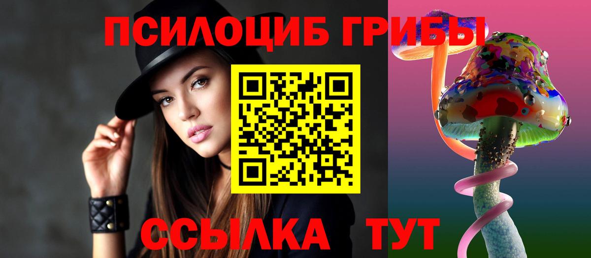 Ярославль  Псилоцибиновые грибы Cubensis  Вход с VPN 