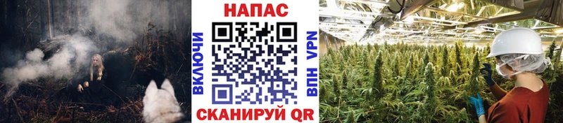 Марихуана тримм  Ярославль 